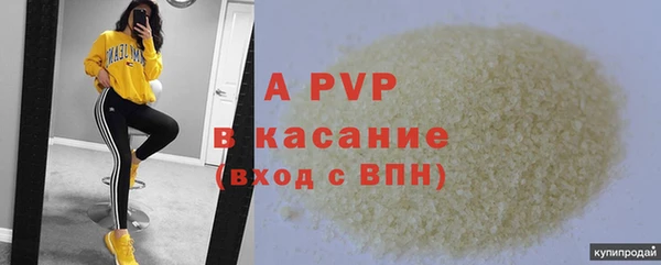 крисы Белокуриха