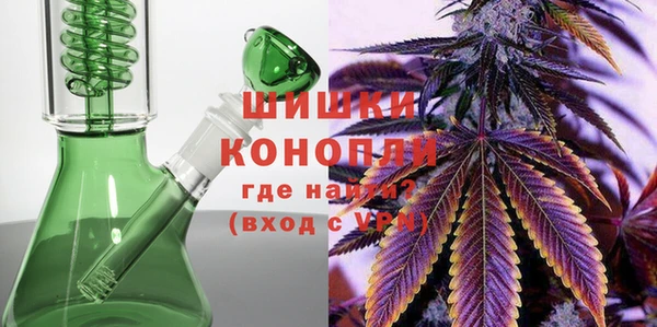 крисы Белокуриха