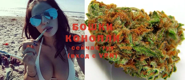 крисы Белокуриха