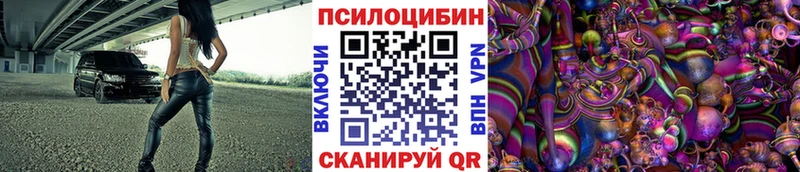 цены   Красный Холм  ссылка на мегу как войти  Псилоцибиновые грибы Psilocybe 